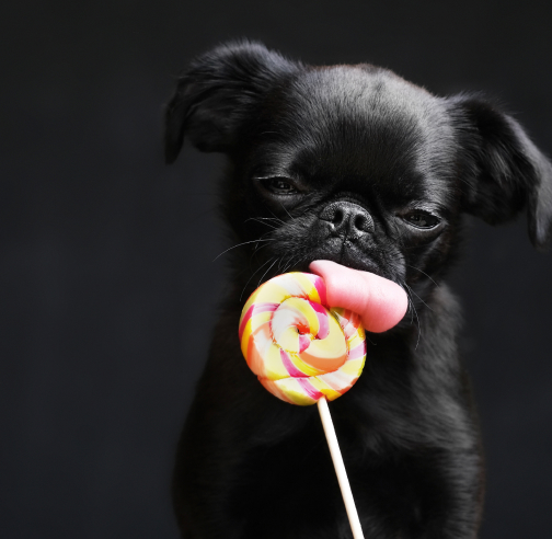 eat