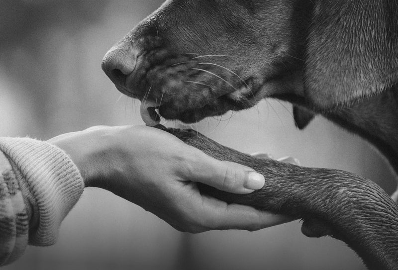care