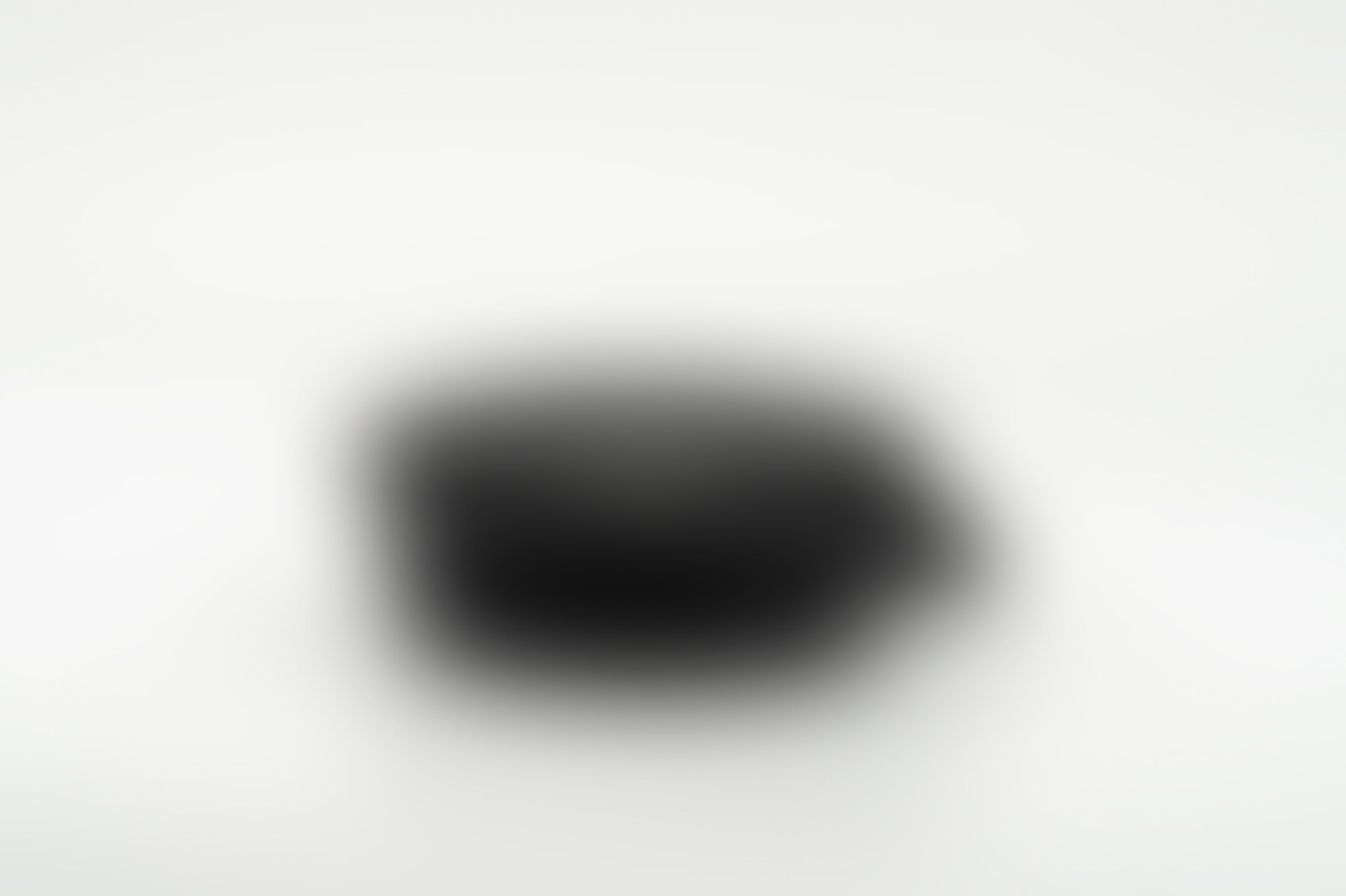 A blurred image of a black dog accessory.
