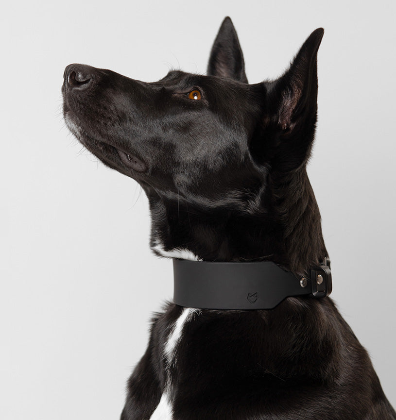 Collar C2