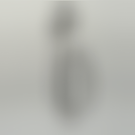 A blurred image of a dog accessory on a gray background.