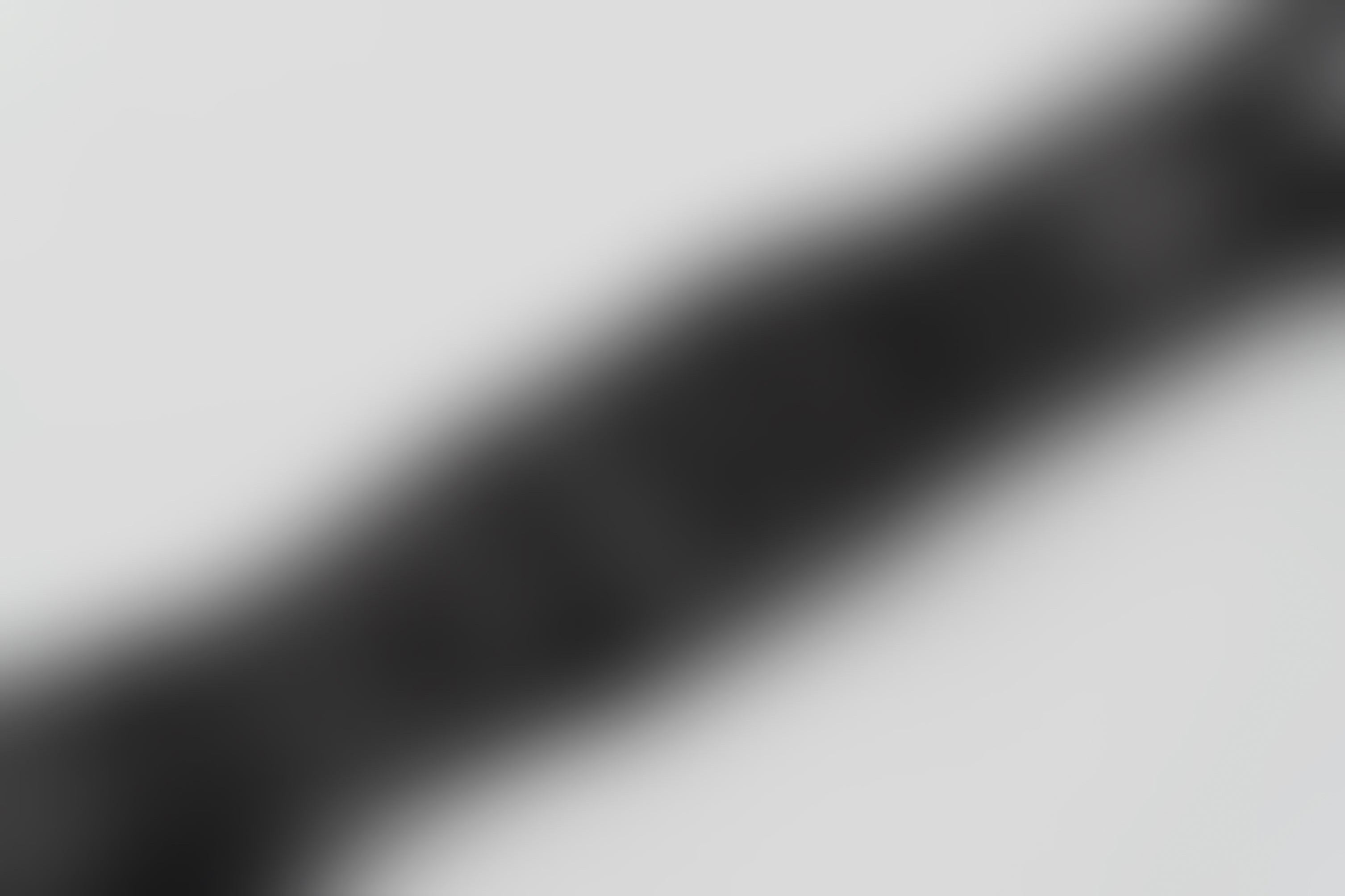 A blurred black and white image of a dog accessory. 
