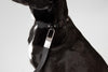 Leash L4