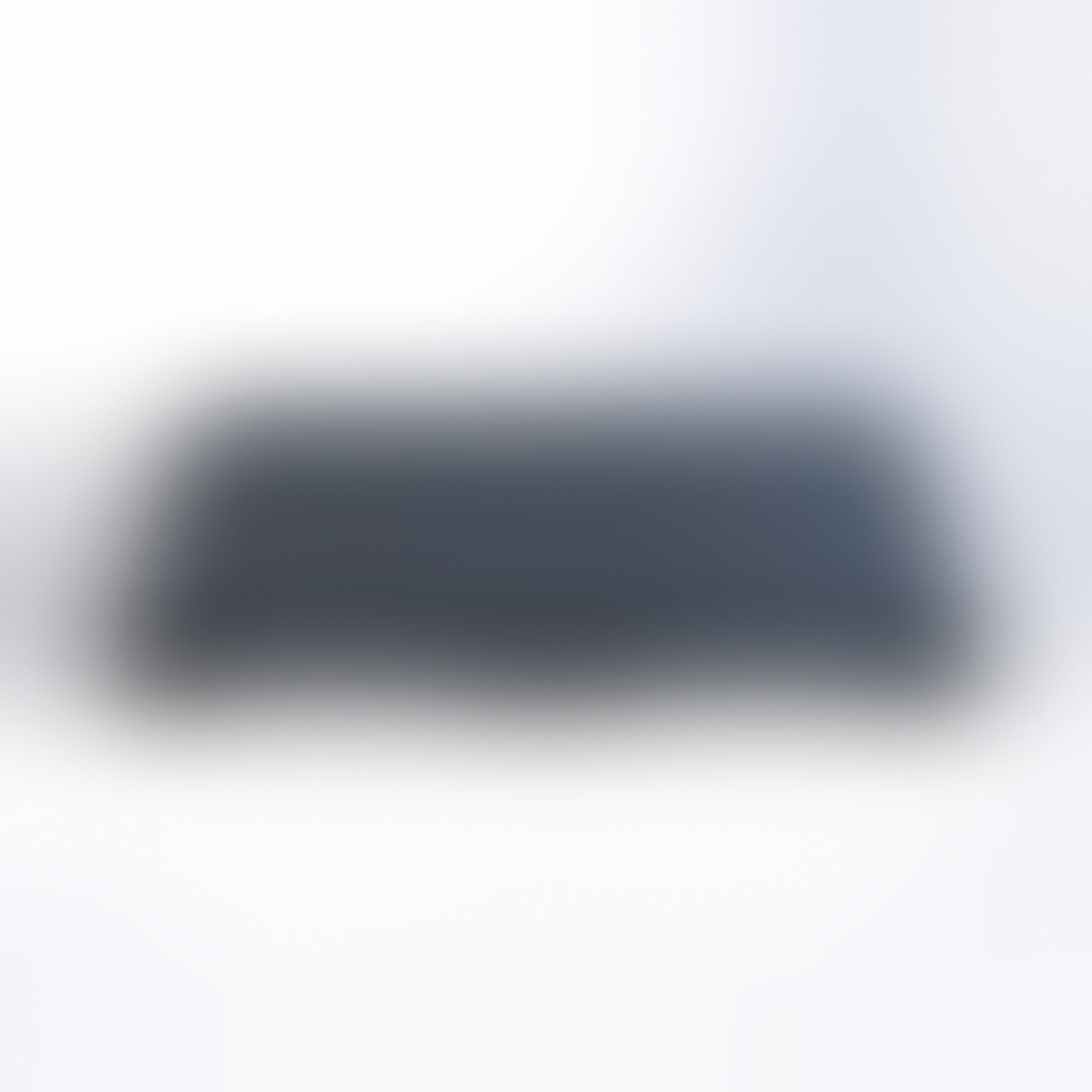 A blurred image of a black-colored dog accessory.