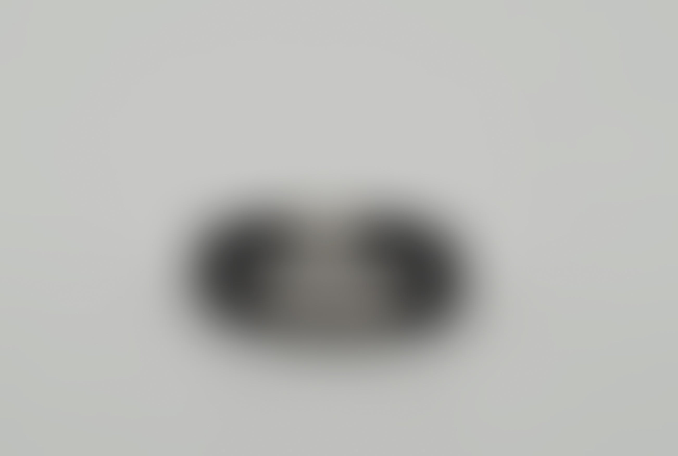 A blurred image of a pet accessory on a white background. 