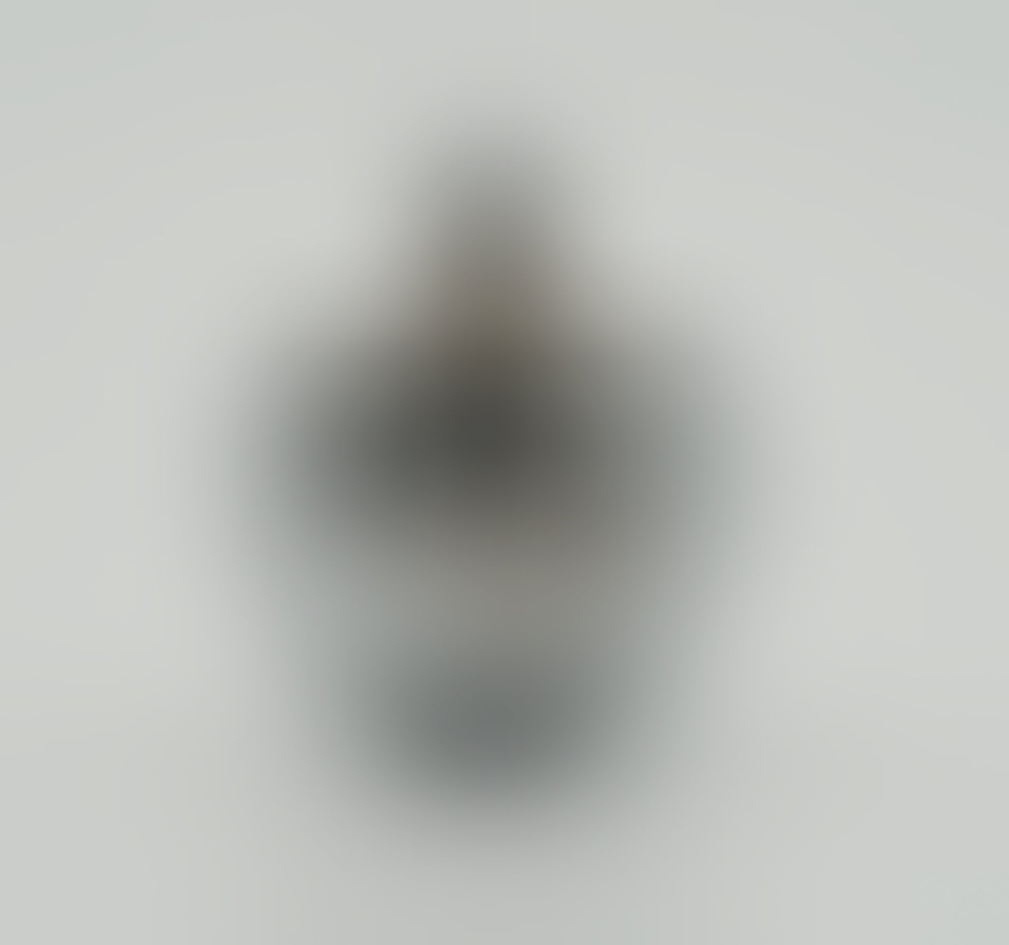 Placeholder image with a blurred picture indicating a product that is to coming soon.