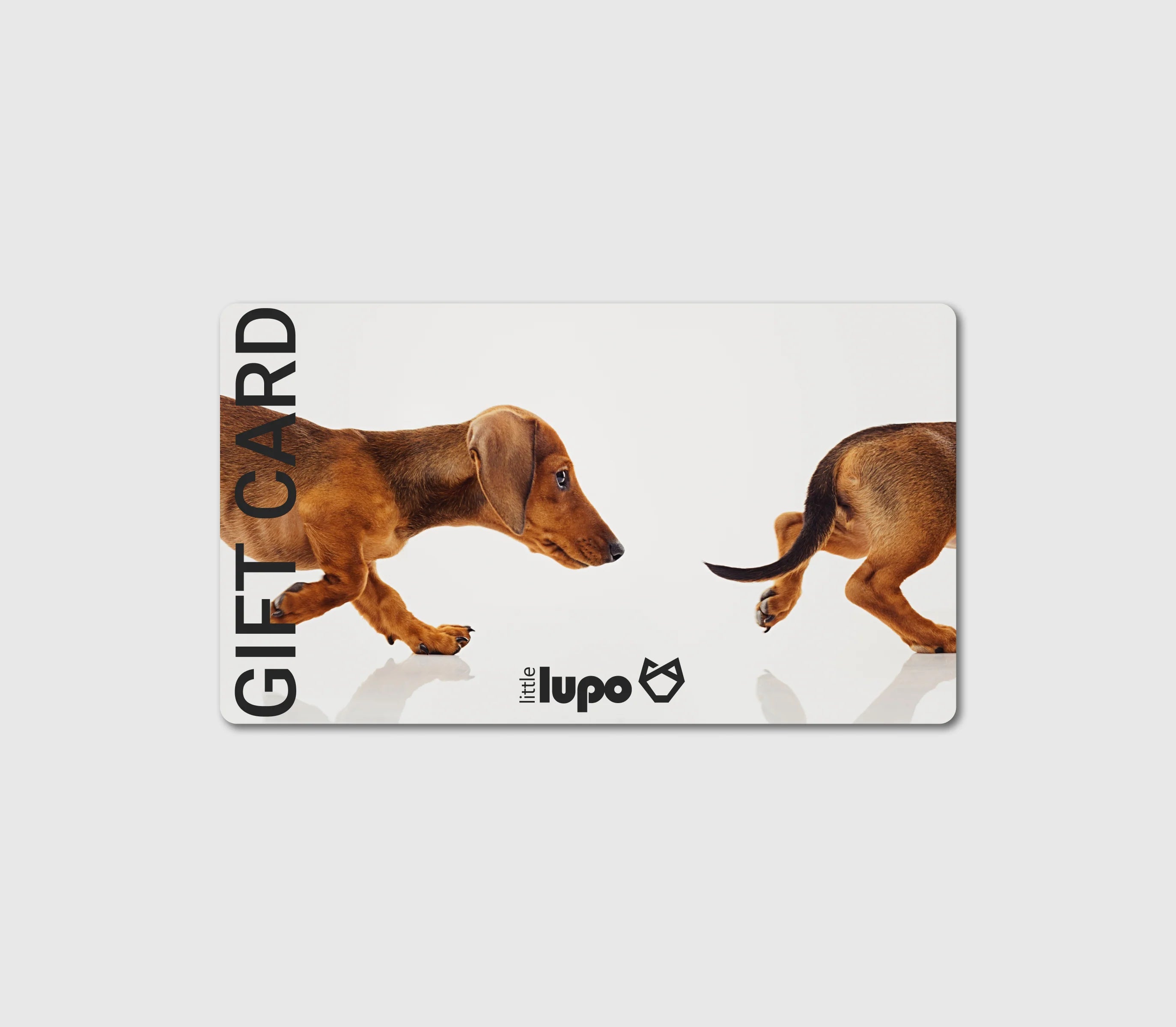 Close-up of a Little Lupo e-gift card featuring a playful Dachshund illustration chasing its tail, displayed in a white surface, ideal for dog lovers.