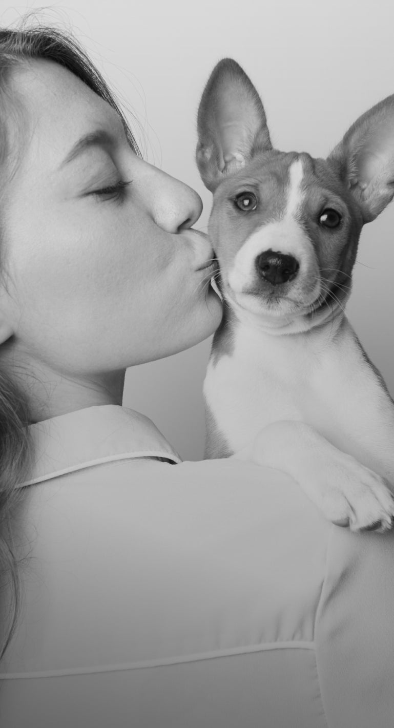 Woman lovingly kissing her Basenji puppy, showcasing the deep bond between humans and dogs – perfect harmony for premium dog accessories designed for both ends of the leash.