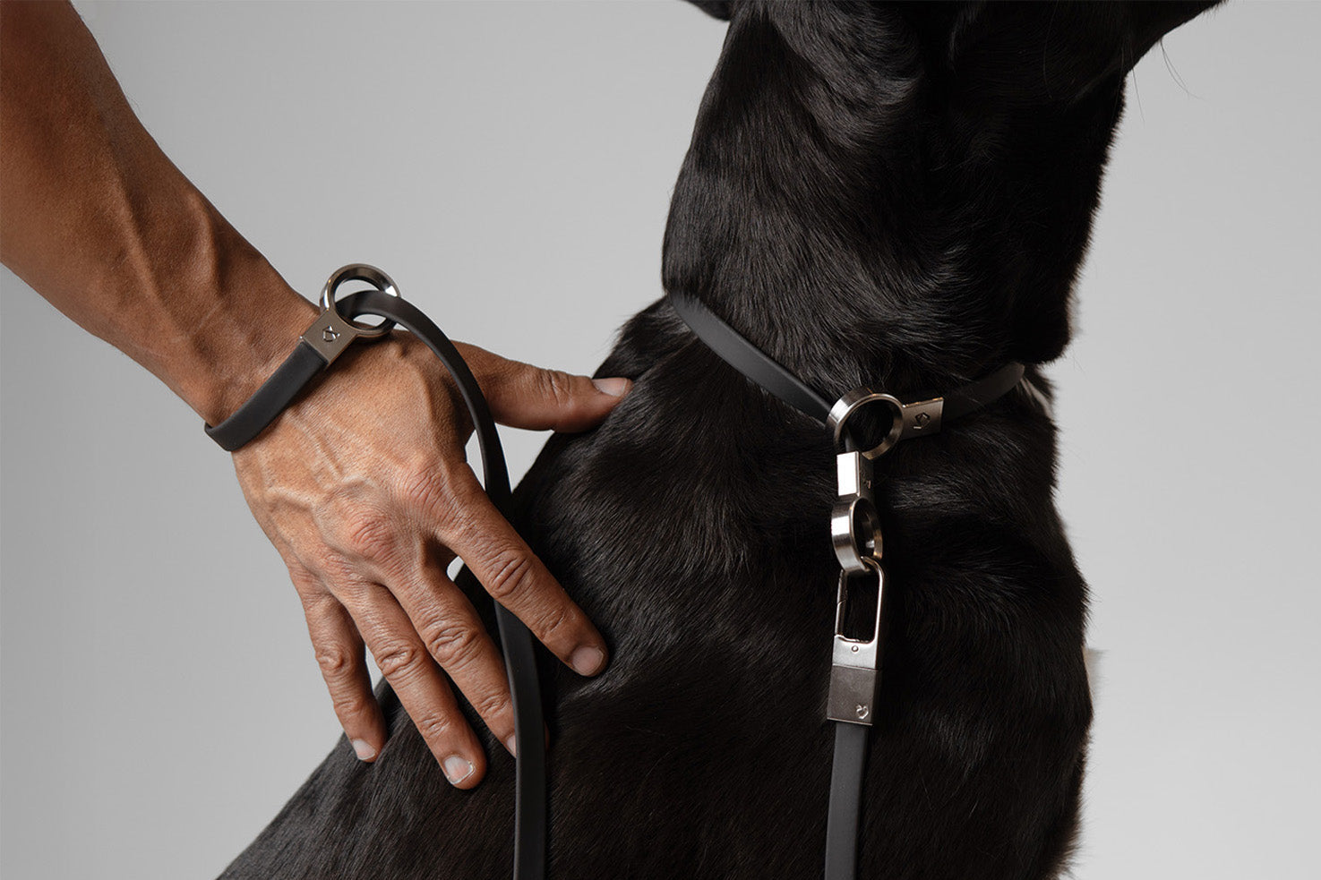Little Lupo Leash L3 in use, with the black silicone-coated nylon webbing handle comfortably secured around a person's wrist, attached to a dog's collar, demonstrating its innovative slip handle feature.